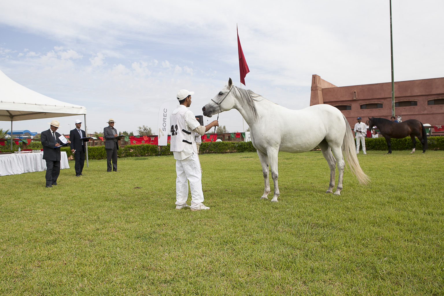 _MG_5585.JPG
