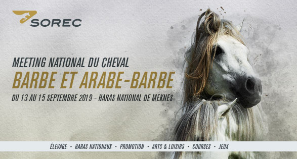 meeting_national_barbe_arbe_2019.jpg