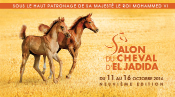 Salon du cheval 2016.png